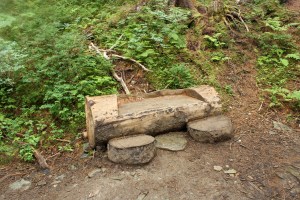 Mt Roberts Tram 027 touched