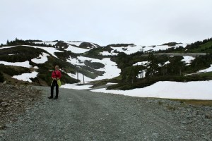 Ptarmagin Lift 001 touched