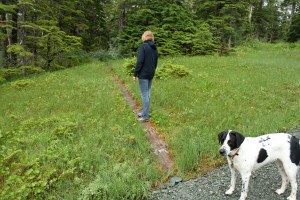 Lower Alpine Loop 023