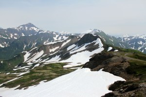 Mt Juneau, Peterson 178