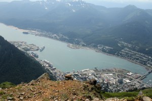 Mt Juneau, Peterson 202