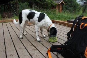 Mt Juneau, Peterson 284