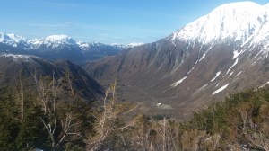 Dog camp from the first shelf out of the trees up Sheep Mountain.